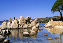 NG南宫体育：42岁黄圣依跑马拉松，高马尾配短裙，站在赵雅芝身边像20岁.